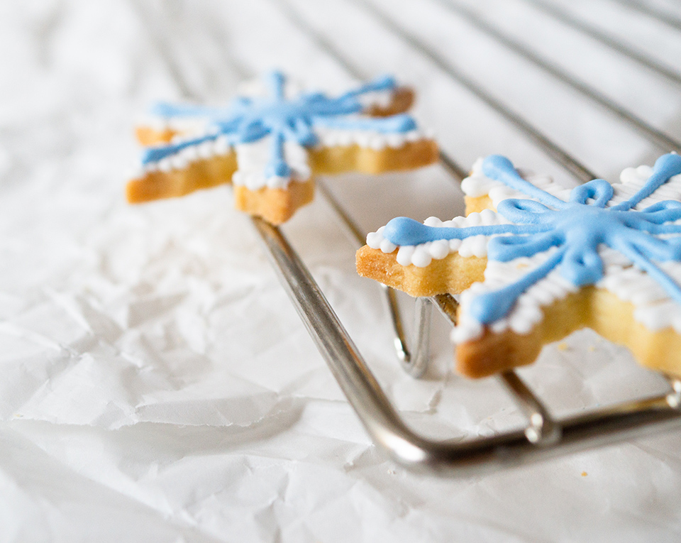 Farbpulver Blau | Eat a Rainbow