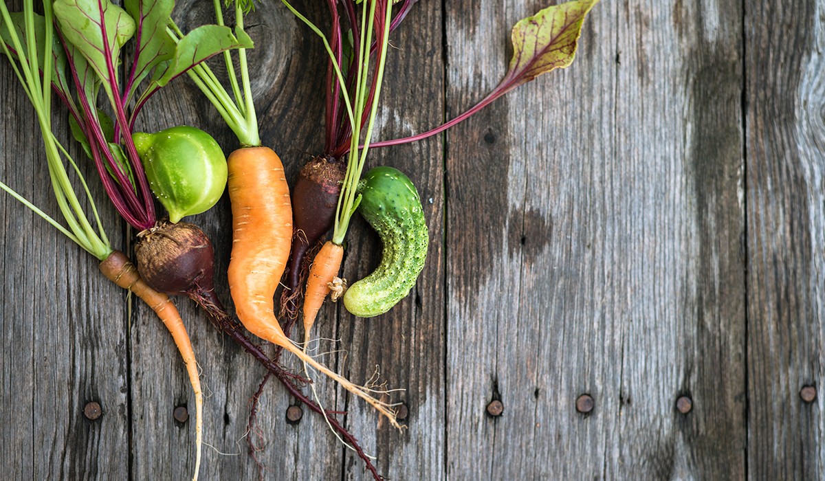 Was-zählt-bei-eat-a-rainbow-jpeg