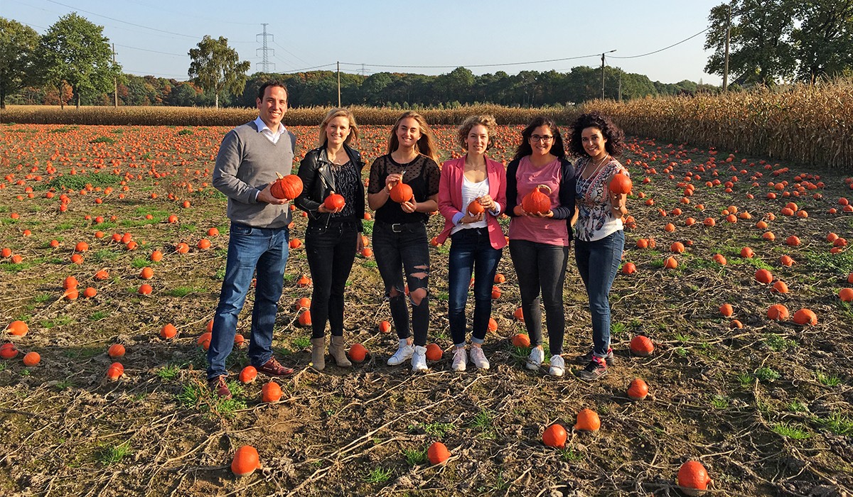 behind_the_scene_kuerbisfeld